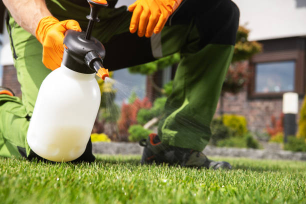 Best Affordable Pest Control Services  in Burton, OH