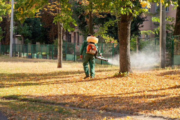 Best Mosquito Control Services  in Burton, OH