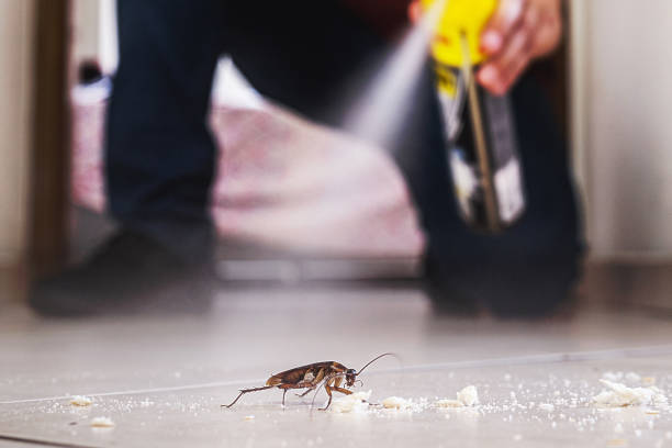 Pest Control Cost in Burton, OH